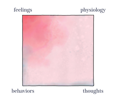 CCT square animation that demonstrates how feelings, physiology, behaviors, and thoughts all interact with each other.
